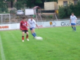 Fußballturnier 2008 in Durbach