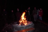 Waldspeckgrillen 2003